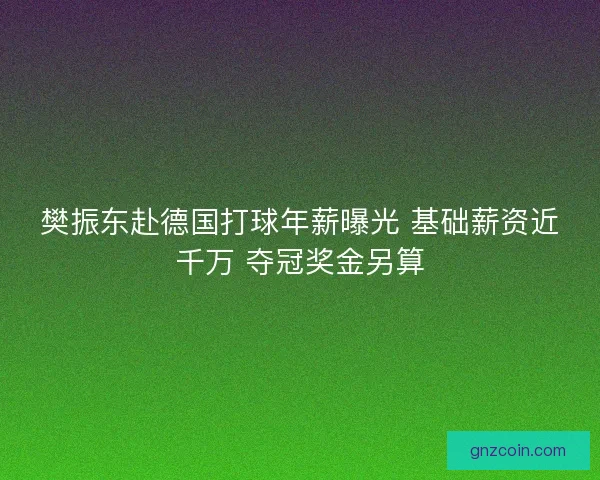 樊振东赴德国打球年薪曝光 基础薪资近千万 夺冠奖金另算
