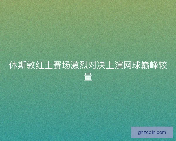 休斯敦红土赛场激烈对决上演网球巅峰较量