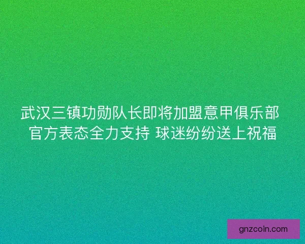 武汉三镇功勋队长即将加盟意甲俱乐部 官方表态全力支持 球迷纷纷送上祝福 武汉三镇功勋队长即将加盟意甲俱乐部 官方表态全力支持 球迷纷纷送上祝福